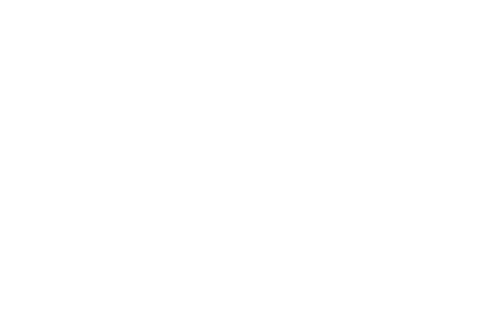 WIN Brand Logo