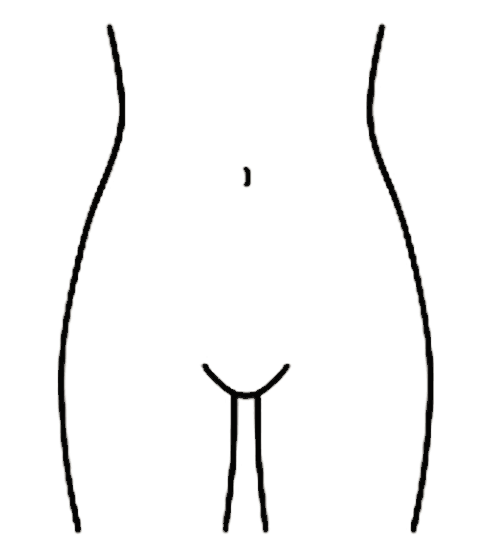 Waist & Hips Shape