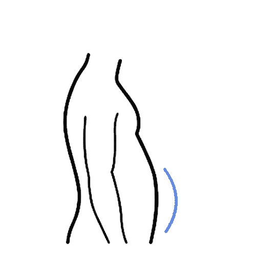 Abdomen Shape
